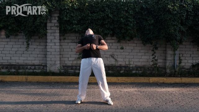ЦИГУН 5 ЗВЕРЕЙ ИГРА МЕДВЕДЯ Qigong wu qin xi bear form смотреть онлайн