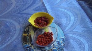 Витаминный сбор №2. Шиповник плюс рябина.