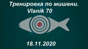 Тренировка по мишени Vlanik 70