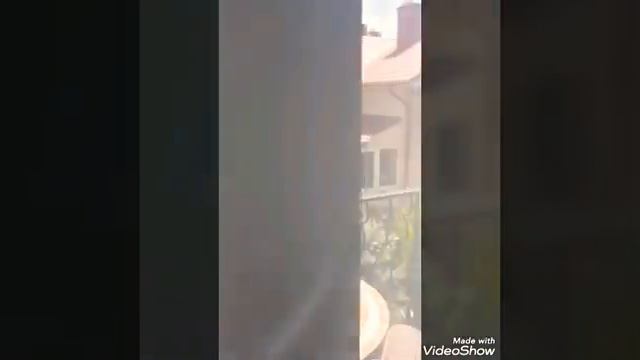 Адлер, отель у моря! смотреть онлайн