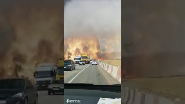 ?Лазаревское. Ландшафтный пожар под Анапой!! Високосный год! Осторожно не нормативная лексика! смотреть онлайн
