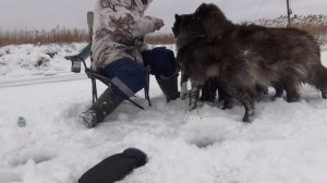 Зимняя рыбалка в Приморском крае. зимняя рыбалка в Приморье 2022.зимняя рыбалка в Приморье сейчас.