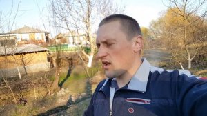 Это амстафф детка, сколько нужна времени уделять выгулу щенку амстаффа