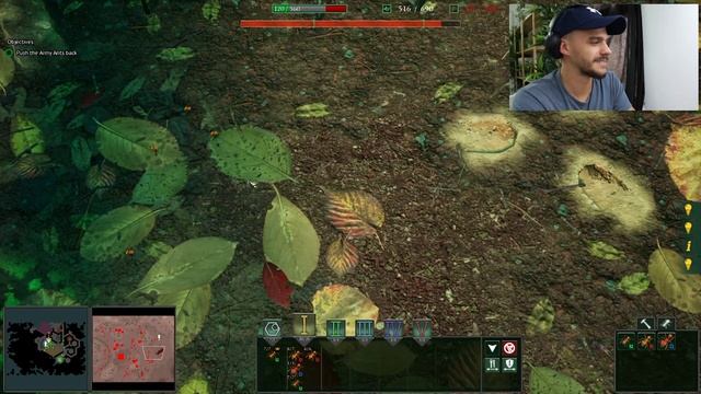 Army Ants Vs. Leafcutter Ants | Empires Of The Undergrowth