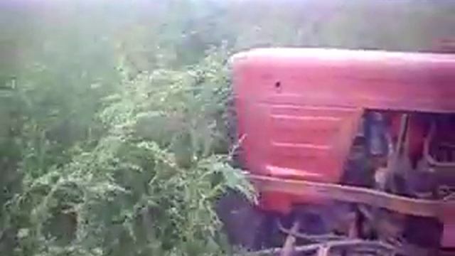 DSCI0111 смотреть онлайн