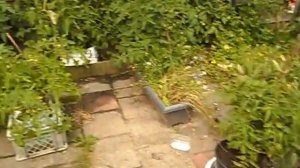 мобильные грядки - в чем лучше сажать?