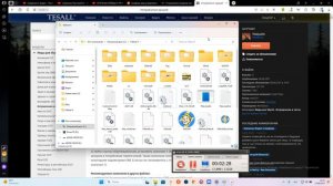 Skyrim: LE  Вылетает. Как убрать вылеты? Решение.