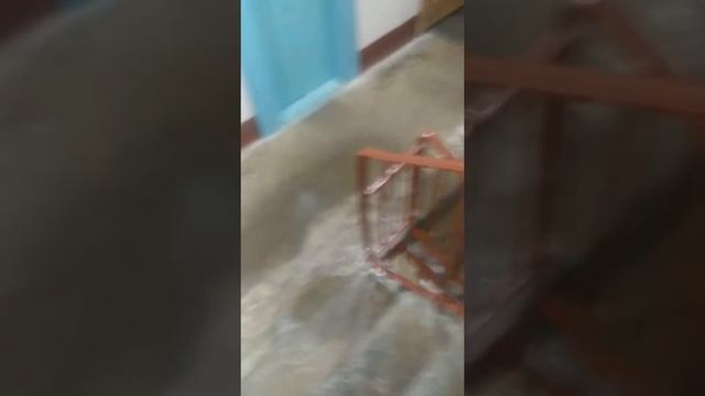 21 век Питер ул.Софьи Ковалевской 16 Жилкомсервис номер 2 Калининского района Спасибо вам. смотреть онлайн