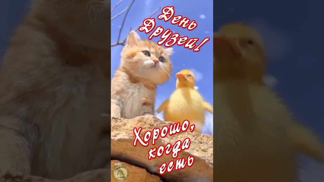 День друзей. 9 июня с Днем Друзей! смотреть онлайн