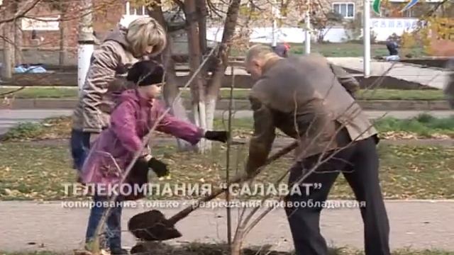 Липовый цвет На сайт смотреть онлайн