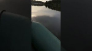 Тайга 270 жесткий пол мотор NS marine 3,5, tohatsu 3.5