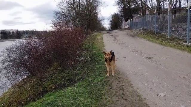 Псков. Аномальная весна. смотреть онлайн