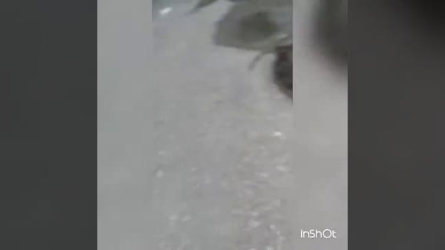 Проверка камеры на прочность. смотреть онлайн