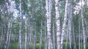 "Здравствуй, лучик солнечный!". Чудесная детская песня о весне и Пасхе!