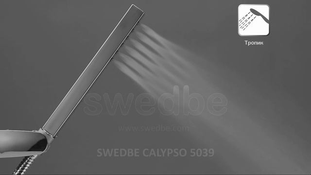 Душевая лейка Swedbe Calypso арт.5039, 36х221 мм смотреть онлайн