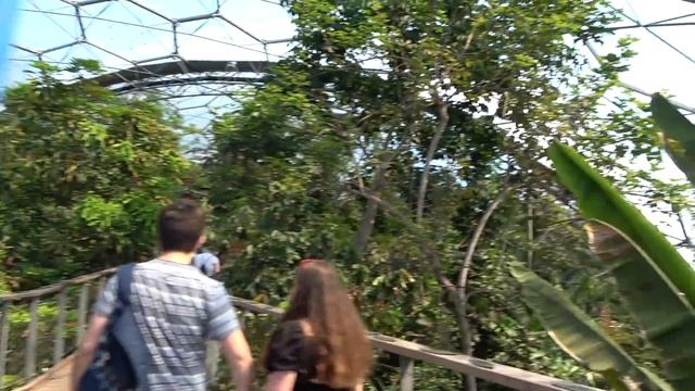 Visiting The Eden Project In Cornwall - Full Experience Tour