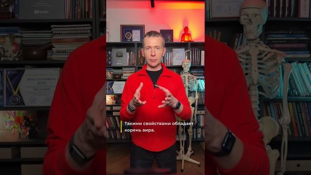 Как быстро и эффективно очистить организм? смотреть онлайн