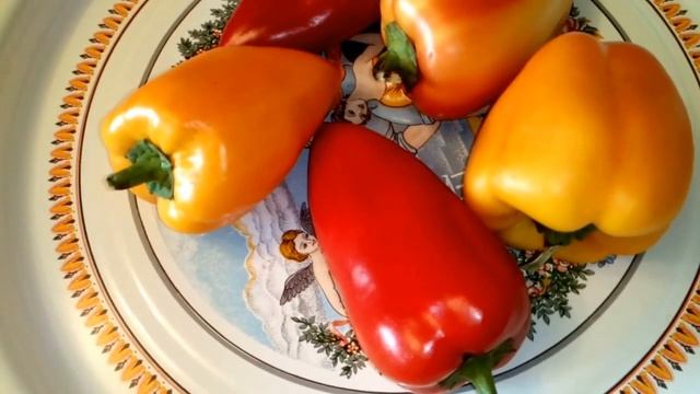 ТОКСИНЫ, ХОЛЕСТЕРИН, ШЛАКИ, КАНЦЕРОГЕНЫ - ВЫВОДИТ БОЛГАРСКИЙ ПЕРЕЦ. ПОЛЕЗНОЕ ПИТАНИЕ. смотреть онлайн