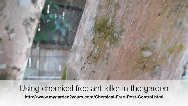 Ant Killer Chemical Free смотреть онлайн