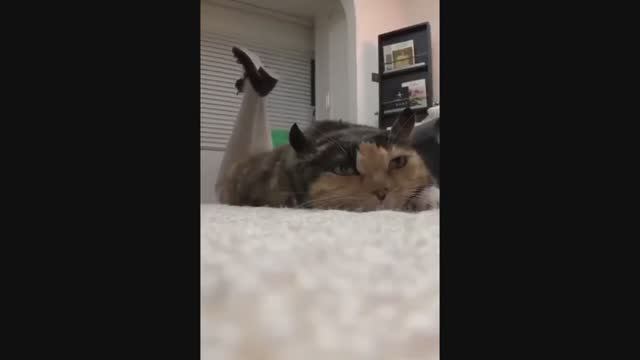 Подборка Мемов №101 смотреть онлайн