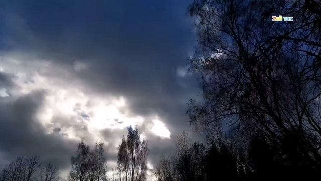 зарисовки ПХД(парка хозяйственного дня) смотреть онлайн