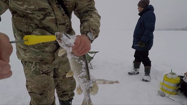 Зевник для щуки, обзор зевников для хищника Лайфхаки Советы Секреты смотреть онлайн