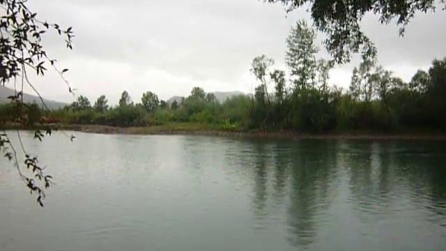 Не может поделить нас Дрина (Граница Сербии и Боснии(Республики Сербской), песенка. смотреть онлайн