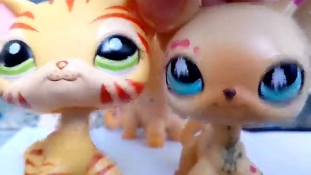 LPS: обзор редких лпс и стоячек!