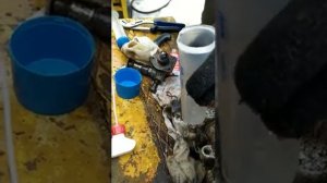 #Как оживить ТНВД на двигателе ямз 236 без переборки #ремонт ТНВД на 236 двигателе # тнвд