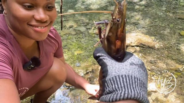 HOW TO HAVE FUN Traveling In Jamaica смотреть онлайн