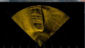 Гидролокатор "Дельфин" в курсовом режиме