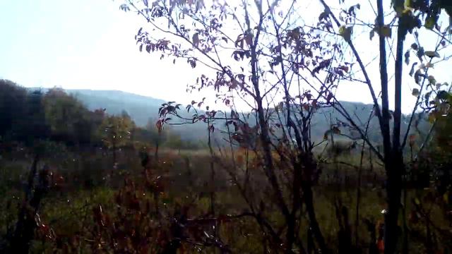 Последние дни с солнцем ( сейчас дожди) смотреть онлайн