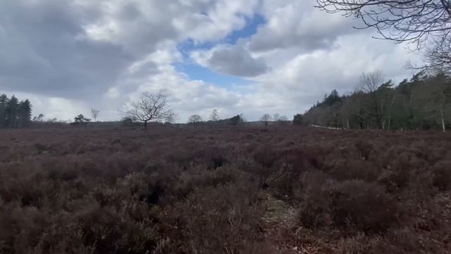 # 284 Тонгерен.Гелдерланд.Нидерланды/Tongeren.Gelderland.Nederland