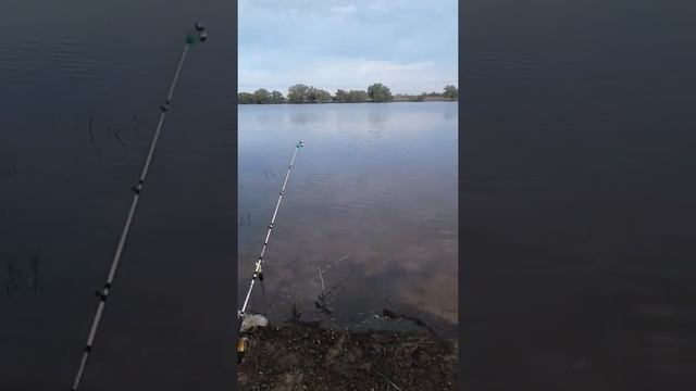 Рыбалка Ахтуба 2020 май машки море смотреть онлайн