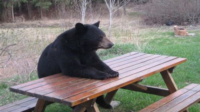 СПБ - Ты поступила со мной нехорошо смотреть онлайн