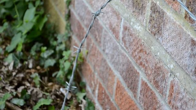 Nikon D3100 - Short Cinematic Film (J) смотреть онлайн