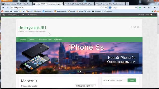 Магазин на Wordpress. Урок 1. Вводный урок смотреть онлайн