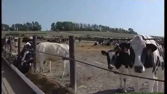 Обмен опытом смотреть онлайн