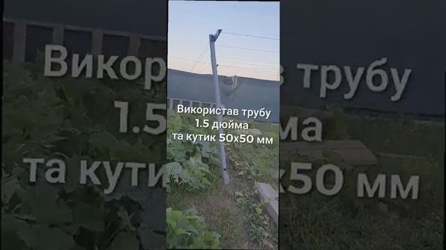 Шпалера для винограда своими руками в киевской области