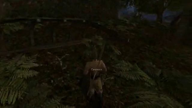 Gothic 2 Возвращение эпизод 10 (Орочье зелье) смотреть онлайн