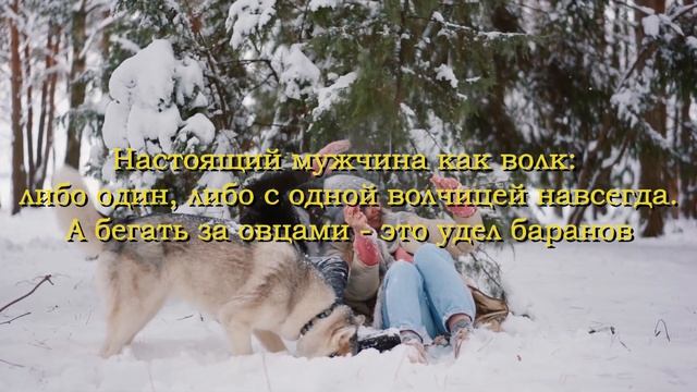 Цитаты про любовь смотреть онлайн