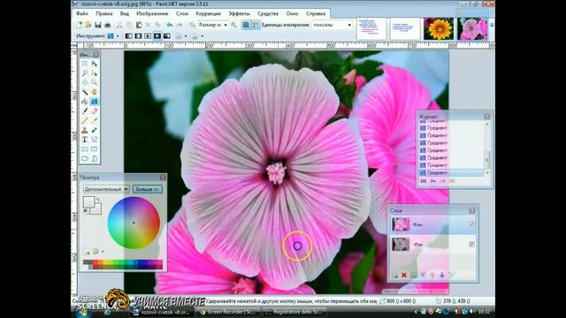 PAINT.NET:ПЛАВНЫЙ ПЕРЕХОД С ЦВЕТНОГО В ЧЕРНО-БЕЛЫЙ смотреть онлайн
