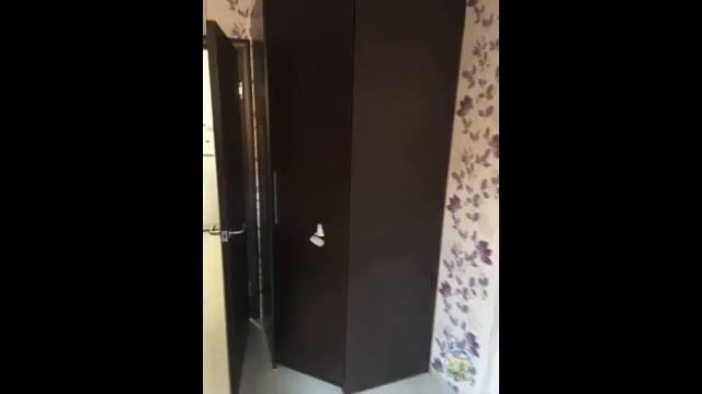 Сдам 1-к квартиру 32м в г.Щелково мкр.Богородский 16 смотреть онлайн