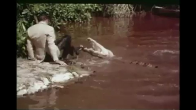 Живи и дай умереть - одолеть Крокодила смотреть онлайн