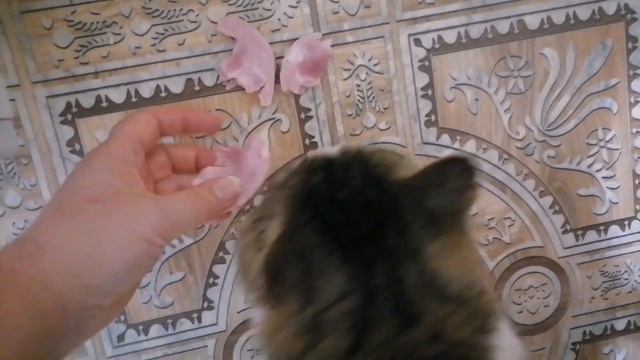 Домашний СОК доступный всем !