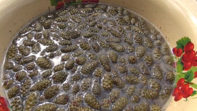 Веганская Кухня: Идеи и Рецепты