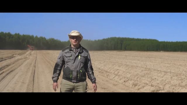 Сорт картофеля Коломба. Семенные посадки HZPC Sadokas. смотреть онлайн