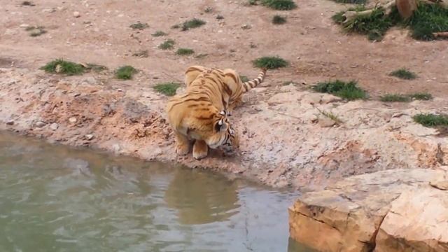 Terra Natura Benidorm Spain смотреть онлайн