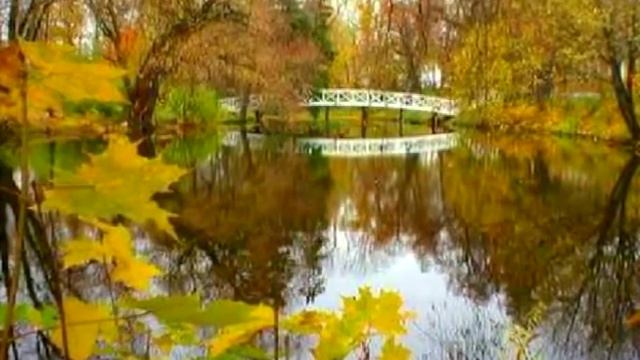 Поместье Маши и Саши Пушкиных в Щелкино.mpg смотреть онлайн