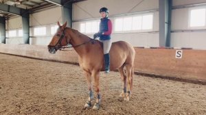 ЕЗДА БЕЗ СЕДЛА НА ЛОШАДИ